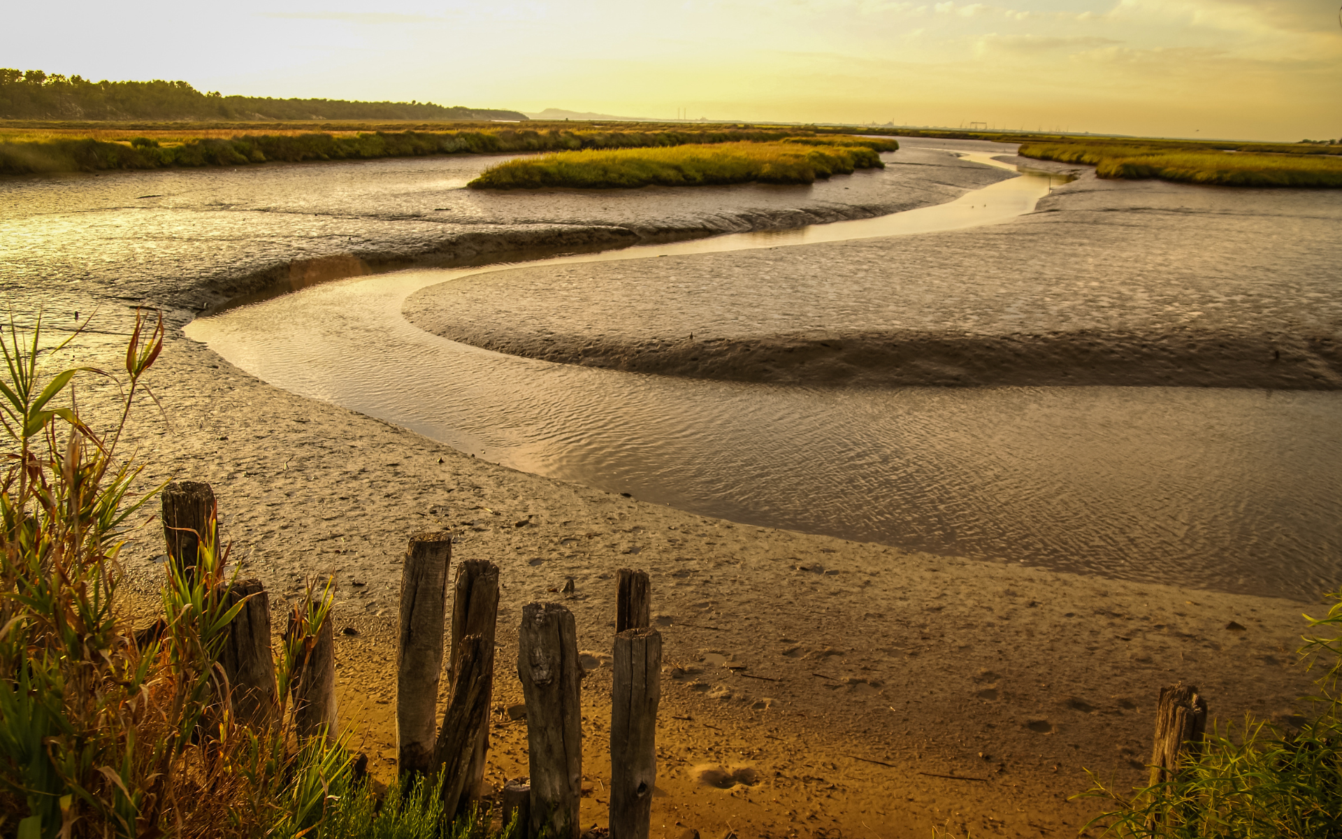 Paisagem natural da Comporta na costa alentejana ao entardecer